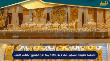 «فرصة ذهبية» تسجيل نظام نور 1446 يبدأ الآن لجميع الطلاب الجدد